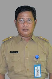 11. Mochammad Wahyudi